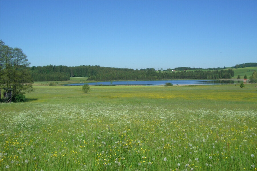 В Амурской области 45 гектаров земли вернули в муниципальную собственность