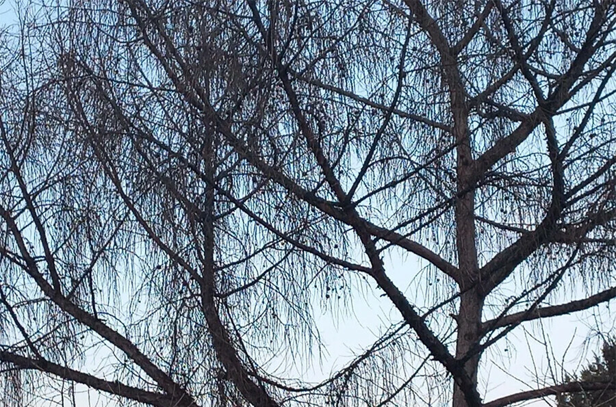 От снега до безоблачного неба прогноз погоды в Приамурье на субботу 3 апреля