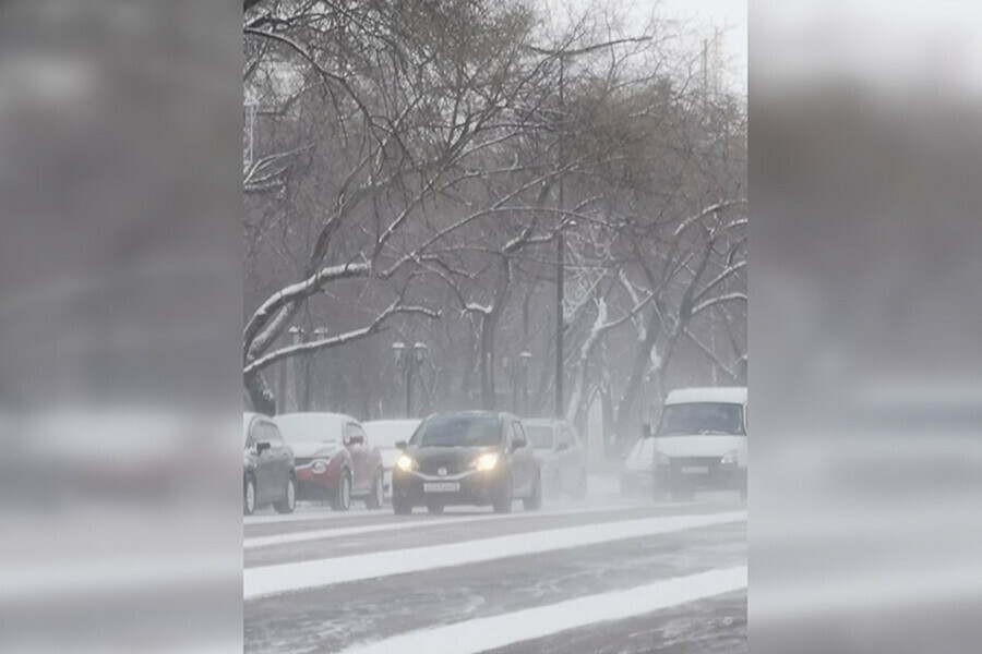 Ветер снег метель 17 февраля зима в Амурской области не сдает позиции