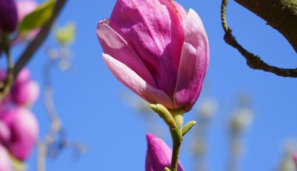 Последний день недели порадует амурчан теплом