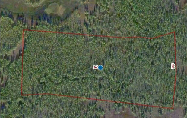 Поля зарастают законы нарушаются Россельхознадзор нашёл в Приамурье 13 тысяч гектаров заброшенных земель 