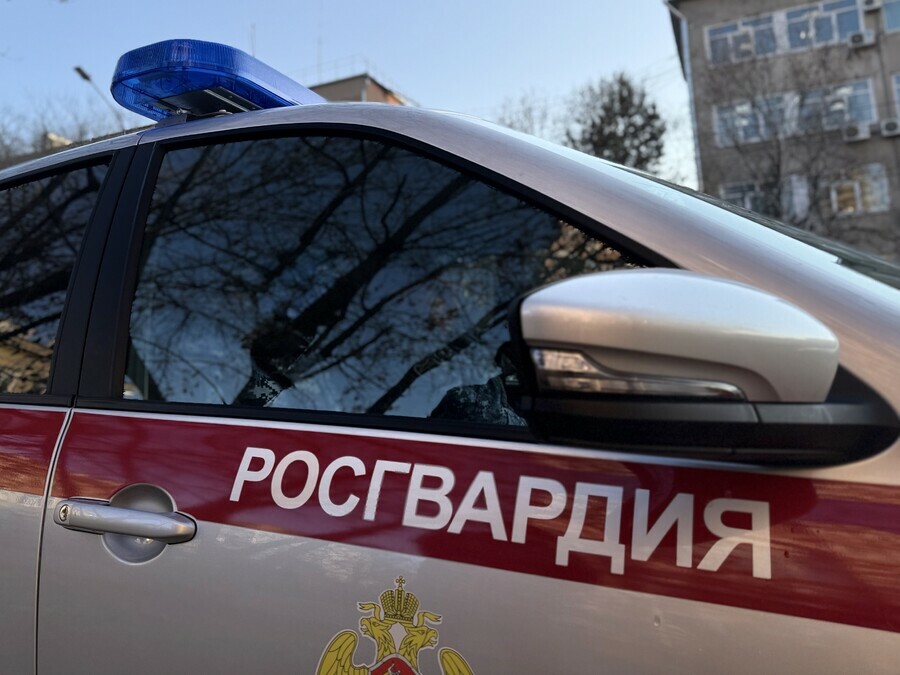 В Свободном остановили КамАЗ груженный незаконной древесиной 