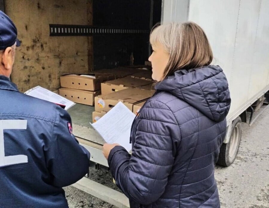 В Амурской области выявили незаконные 58 тонн говядины и рыбы 