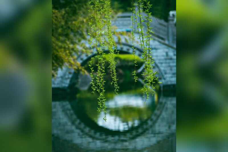 Рисовые шарики воздушные змеи пикники в Китае празднуют День обметания могил