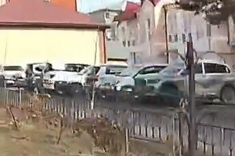 Лесная гостья промчалась по улице Свободного видео