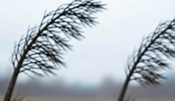 Амурчан призывают к осторожности ожидаются опасные погодные явления