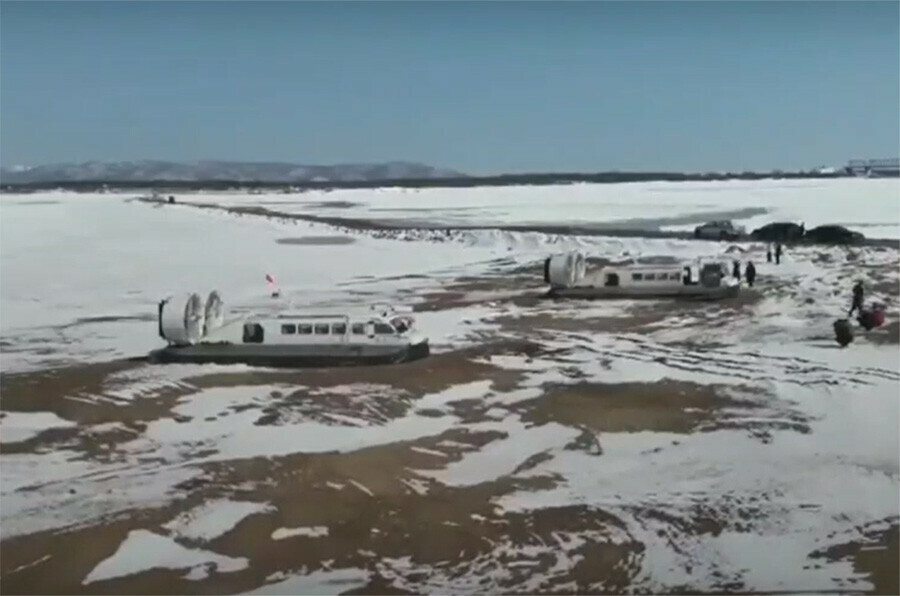 Сколько дней будут ходить пумы по Амуру сообщила китайская сторона видео