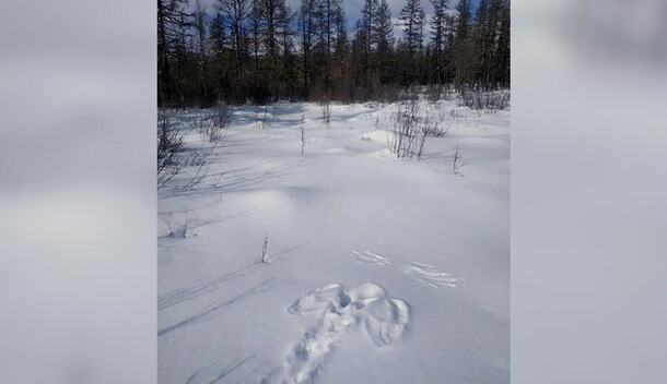 В заповеднике Амурской области нашли след ангела на снегу