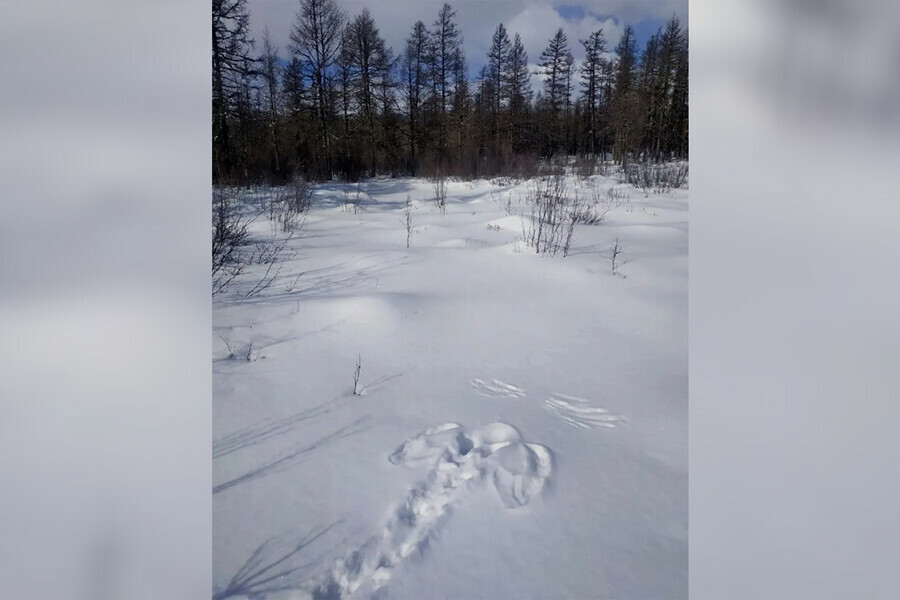 В заповеднике Амурской области нашли след ангела на снегу