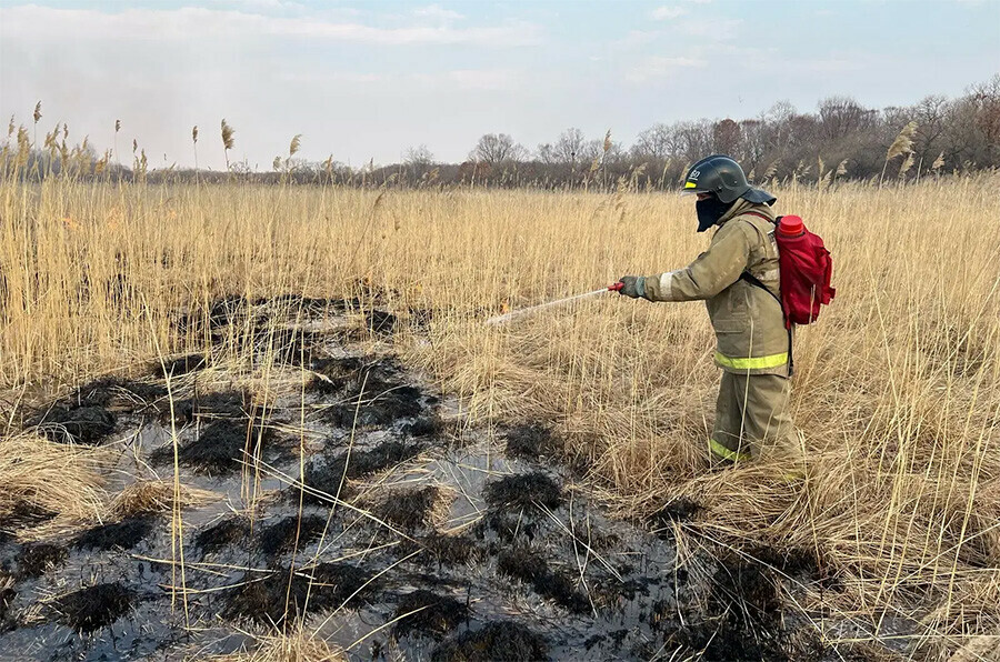 Четверо детей стали виновниками палов в Амурской области