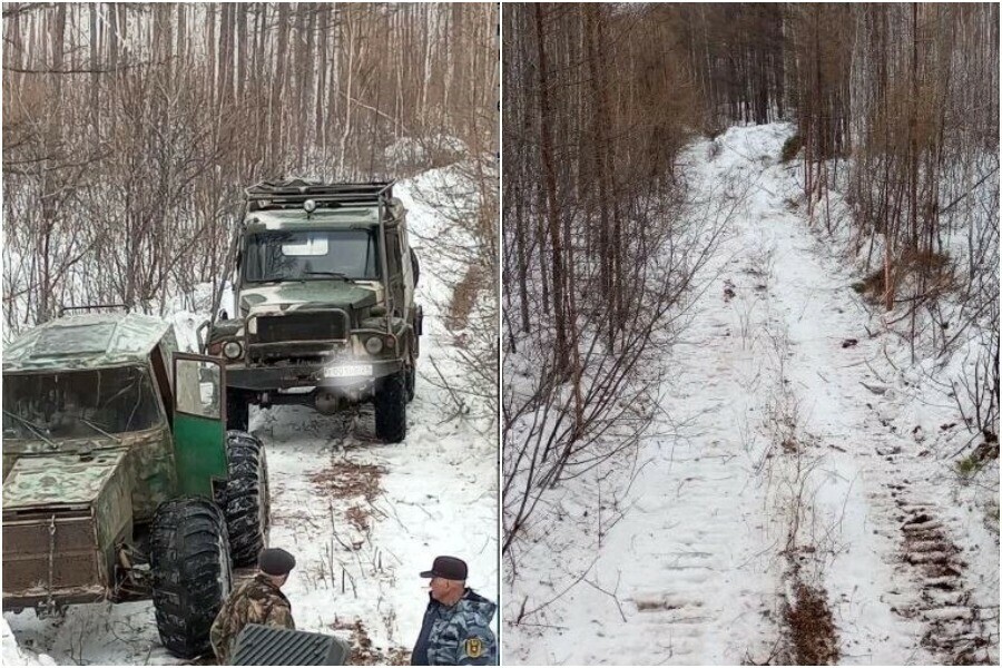 В заказнике на севере Приамурья варварски и под шумок прокладывали незаконную дорогу для тяжелой техники