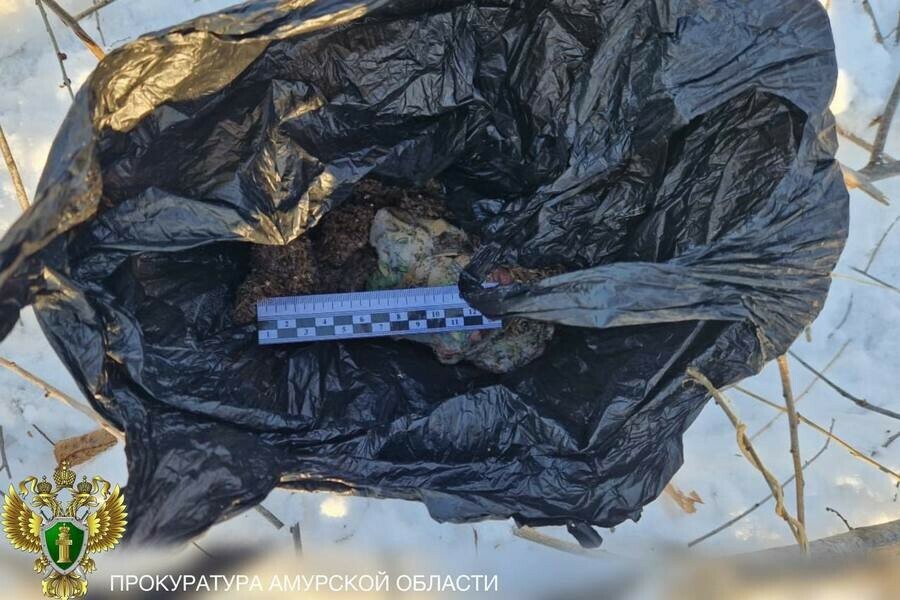 Собрал урожай  сел в тюрьму амурчанину вынесли приговор за уголовное преступление 