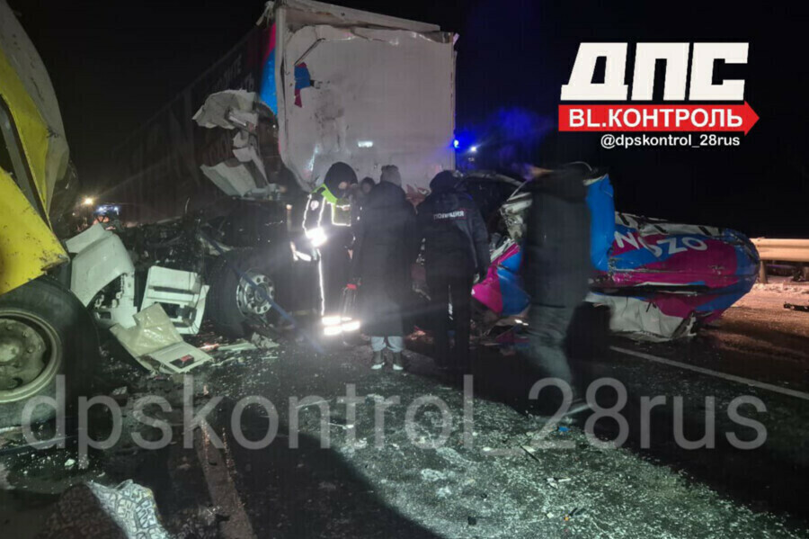 Установлена причина страшного ДТП около Циолковского в котором погибли водитель фуры и его сменщик