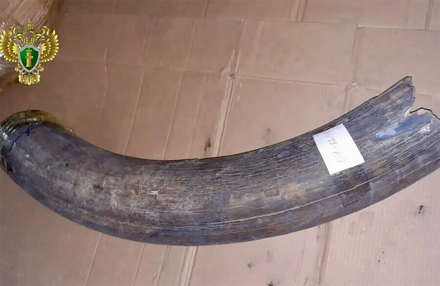 Из Амурской области пытались вывезти ценности стоимостью свыше 24 миллионов рублей