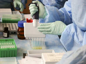 Власти подтвердили еще 2 летальных случая от коронавируса в Амурской области