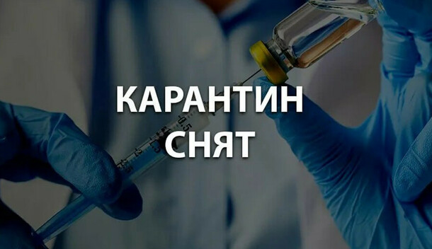 Карантин по бешенству сняли в Белогорске