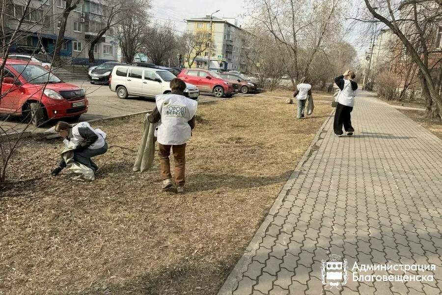 Благовещенцы стараются сделать город чище Как помочь 