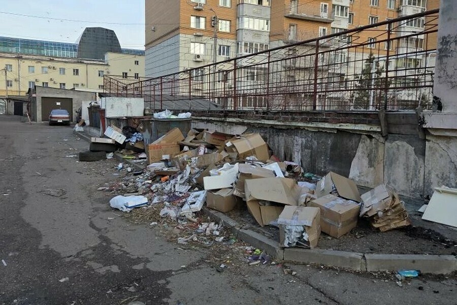 Жители нескольких районов Благовещенска сообщают о мусоре на улице фото