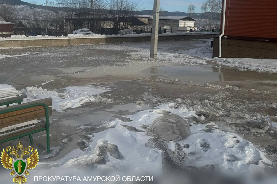 Главу округа в Амурской области оштрафовали за неубранные нечистоты у многоквартирного дома