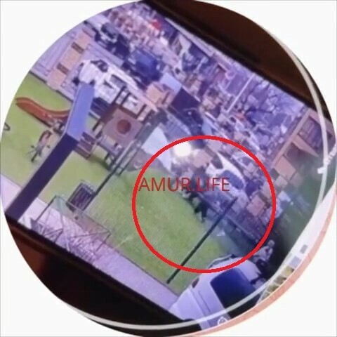 В Благовещенске титулованная каратистка применила запрещенный прием к первокласснице видео