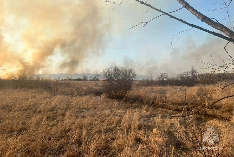 Мальчик и девочка со спичками хотели согреться  получился пожар