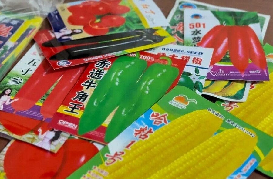 Семена неизвестного происхождения пытались провезти в Приамурье граждане Китая и России