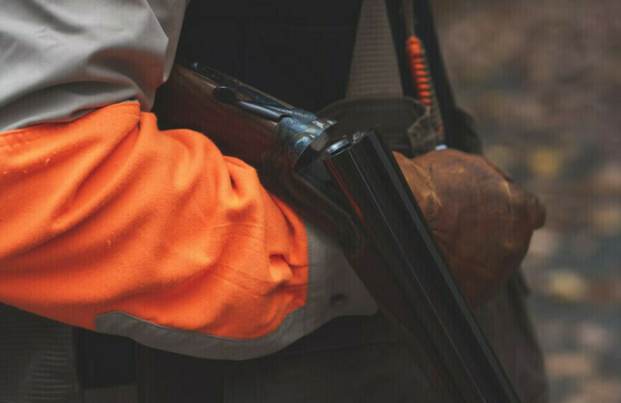 Инспекторы будут работать без выходных в Амурской области открывается сезон охоты