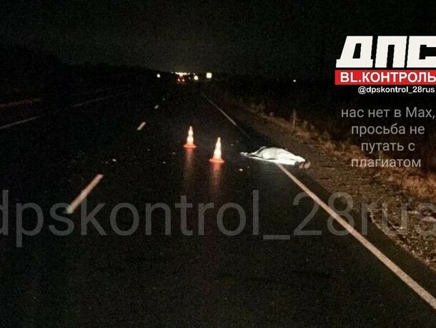 Сначала сбили потом переехали Родные трагически погибшего в ДТП молодого амурчанина ищут свидетелей аварии