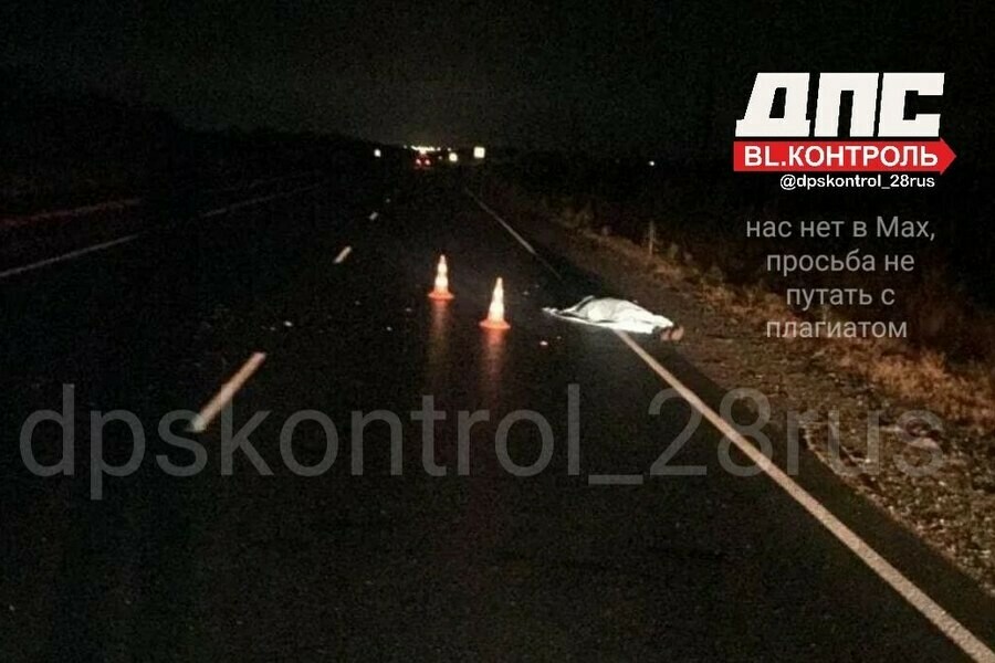 Сначала сбили потом переехали Родные трагически погибшего в ДТП молодого амурчанина ищут свидетелей аварии