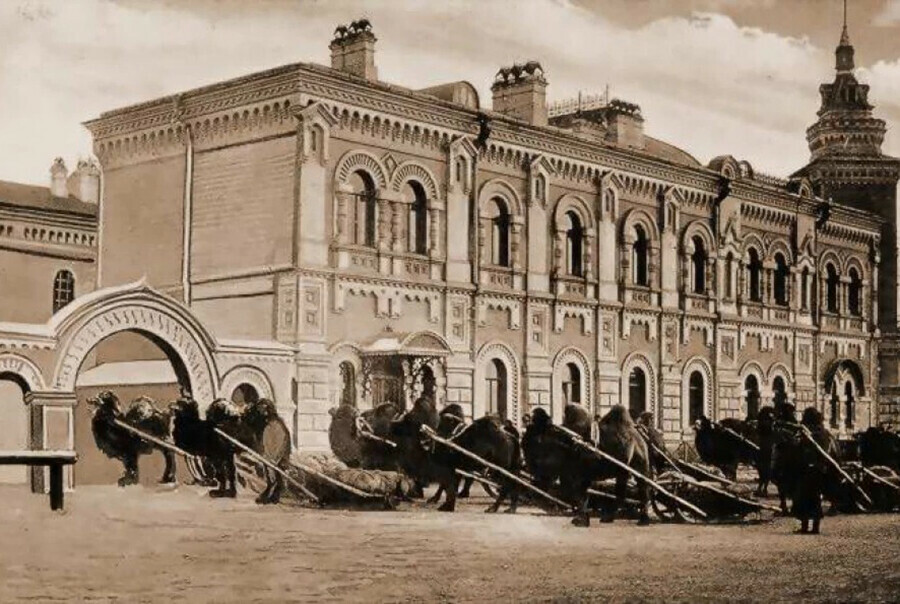 Когда в Благовещенск привезут торговца с верблюдами и где поставят