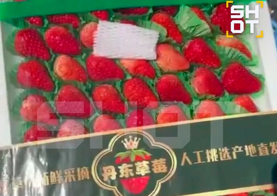SHOT российские бабушки осваивают бизнес на продаже китайской клубники маскируя ее под свою видео