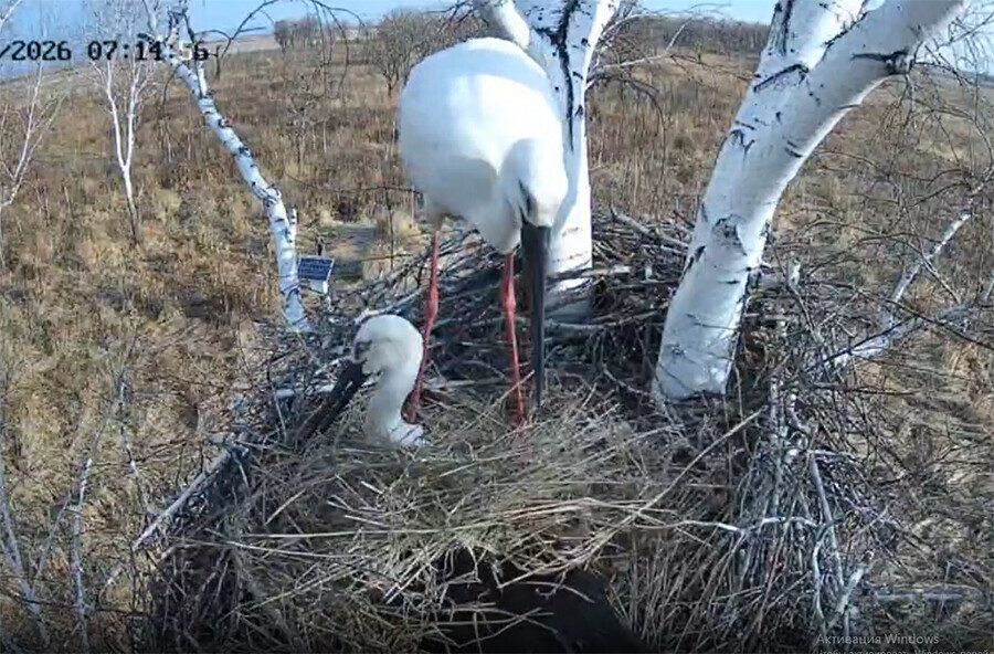 В Амурскую область пришел циклон и Амур позаботился о Зее видео
