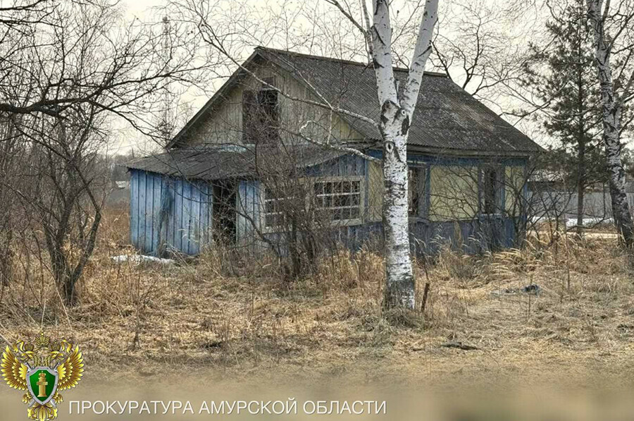 Амурчанке купившей дом без окон и дверей для ребенка придется вернуть маткапитал фото