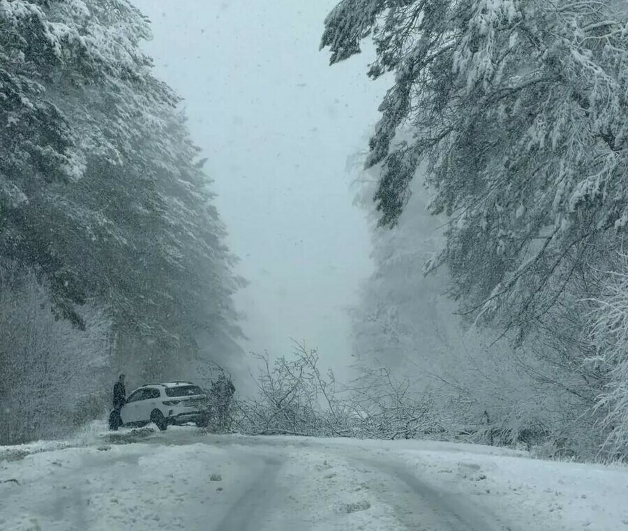 На трассе Благовещенск  Свободный изза снега падают деревья