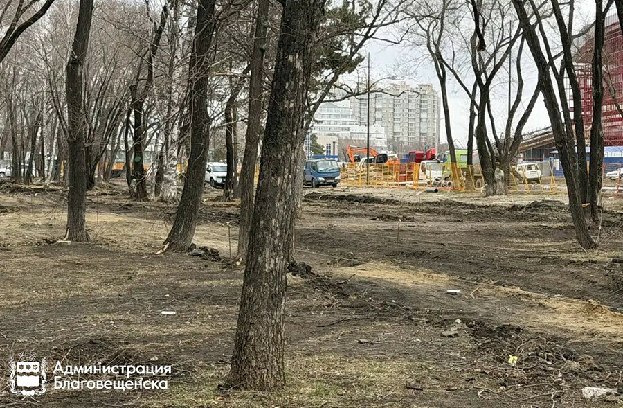Началось благоустройство сквера около вуза Благовещенска Когда закончат работы