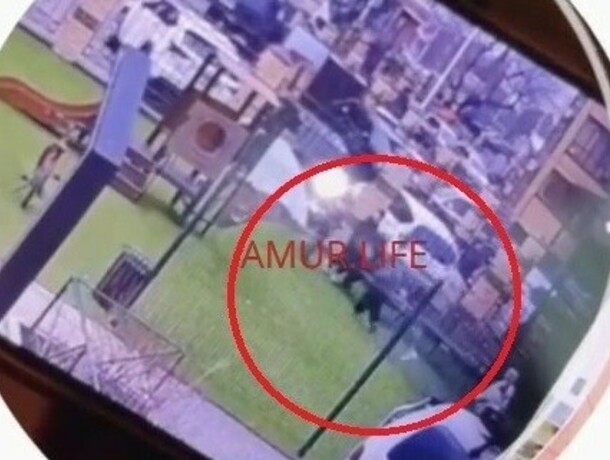 Подобное поведение недопустимо что грозит каратистке из Благовещенска которая применила запрещенный прием к первокласснице