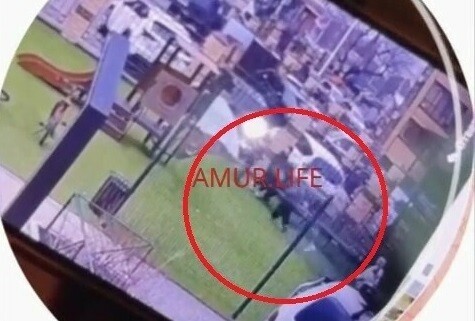 Подобное поведение недопустимо что грозит каратистке из Благовещенска которая применила запрещенный прием к первокласснице