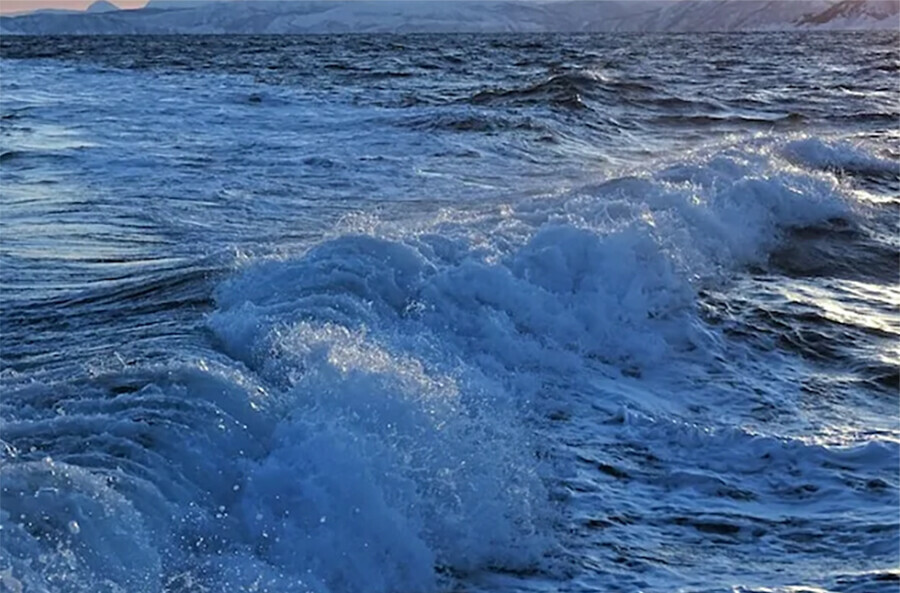 Оценочная категория суда в Приморье детям одного погибшего отца присудили 2 миллиона детям другого  17 миллионов