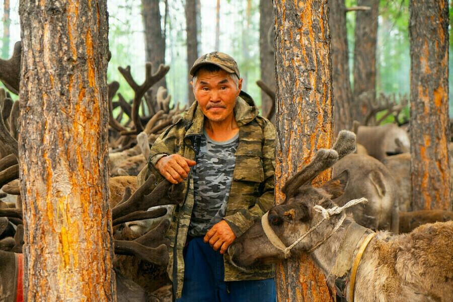 Амурчан зовут на фестиваль эвенкийской культуры Олени эвенки национальная кухня  недалеко от Благовещенска