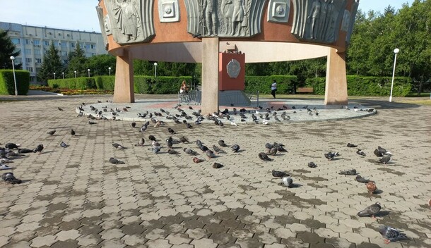 Прогноз погоды в Амурской области на 24 апреля