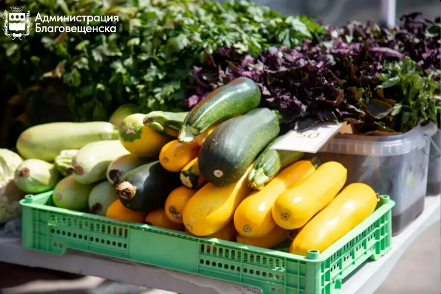 Больше 200 тысяч рублей заплатили в казну Благовещенска незаконные торговцы