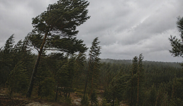 Желтый уровень метеорологической опасности объявлен в Приамурье К чему готовиться