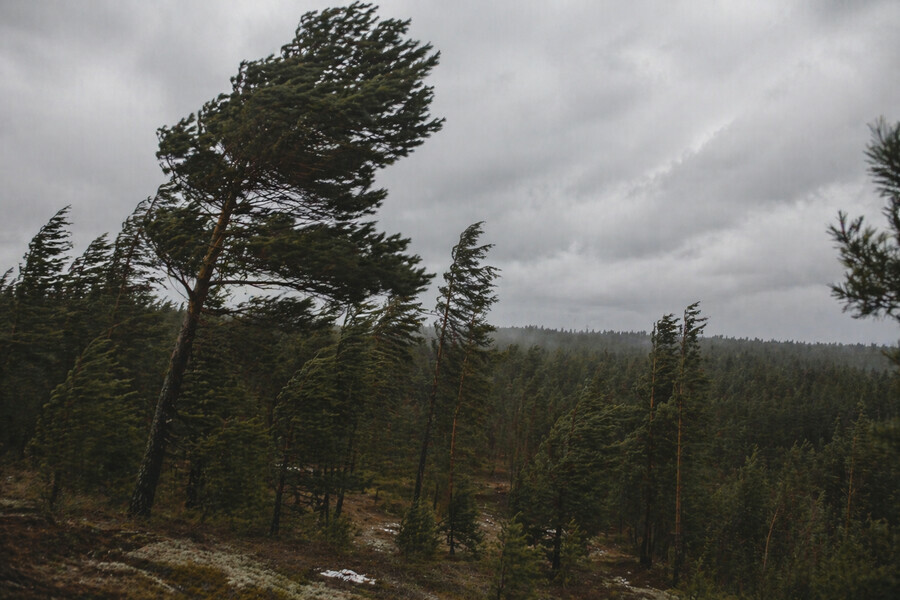 Желтый уровень метеорологической опасности объявлен в Приамурье К чему готовиться 
