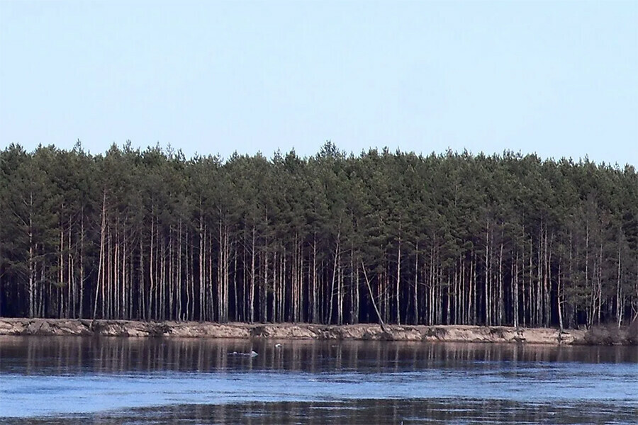 В Амурской области активно идет ледоход Все ледовые перепрaвы закрыты