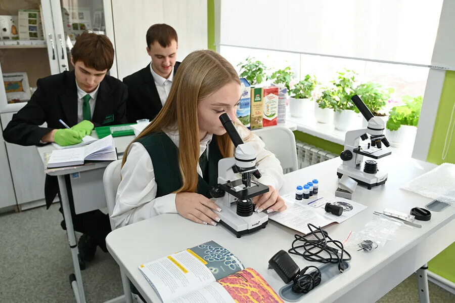 Классы нового направления откроются в школах Амурской области