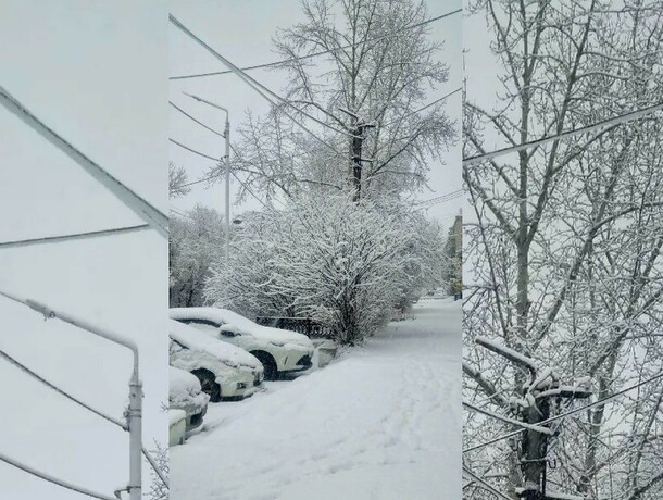 Снегопад обрушился на север Приамурья Благовещенск следующий на очереди у циклона фото
