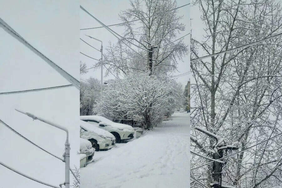 Снегопад обрушился на север Приамурья Благовещенск следующий на очереди у циклона фото