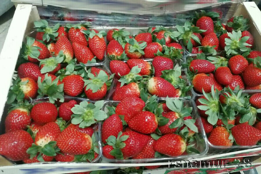 70 тонн vs 2 200 тонн импорт клубники из Китая в Амурскую область вырос почти в 32 раза