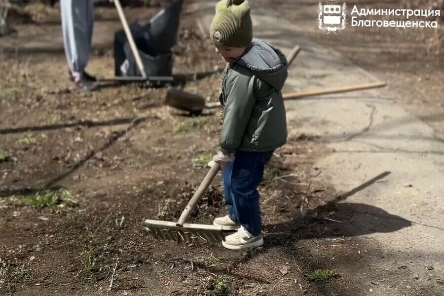 Благовещенцы присоединились к всероссийской масштабной акции 