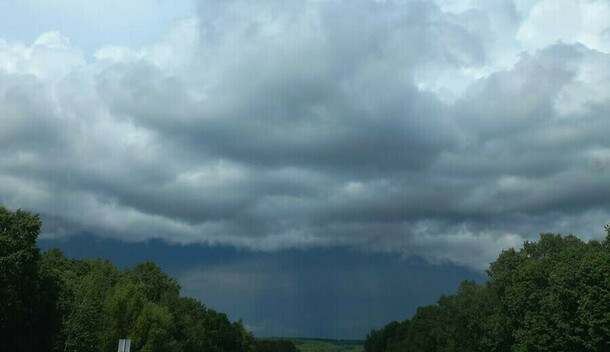 Дождь и ветер не отступают что готовит погода Амурской области 27 апреля
